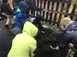 Botanical Garden Field Trip 